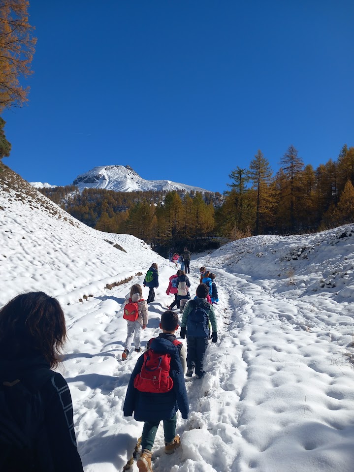 Uscita didattica al Devero - Classe 2018